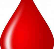 Transfuzia de sânge: testul biologic și tabelul de compatibilitate a grupurilor de sânge