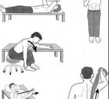 Periartrita humerusului: un set de exerciții Popova, gimnastică terapeutică