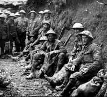Primul război mondial: pe scurt despre principal