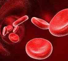 Primul grup sanguin negativ: caracteristicile sale și impactul asupra sarcinii.