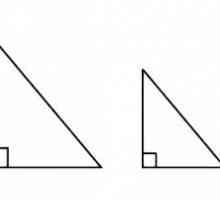 Primul semn al egalității de triunghiuri. Al doilea și al treilea semnal al egalității de…