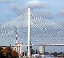 Primul pod suspendat prin cablu din Sankt-Petersburg - Bolshoy Obukhovsky Bridge