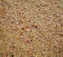 Nisip: formula, caracteristicile. Nisip pentru constructii