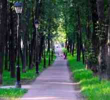 Parcul Petrovsky și atracțiile sale