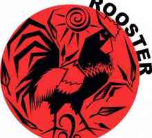 Rooster-Gemini - natură violentă, atractivă și de neînțeles