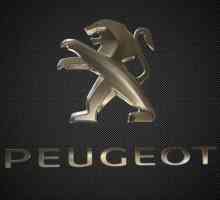 Peugeot 306. Descrierea vehiculului