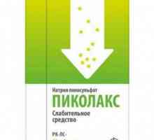 `Pikolaks`: instrucțiuni de utilizare, feedback