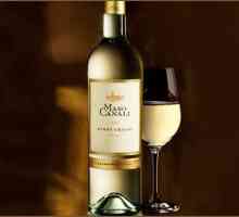 Pinot Grigio - vin simbolizând prânzul de vară