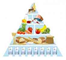 Piramida alimentară - baza nutriției adecvate pentru fiecare zi