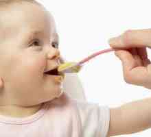 Nutriție pentru copii în 11 luni: dietă, rețete și meniuri. Copil la vârsta de 11 luni: dezvoltare,…