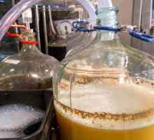 Amestecuri de bere pentru o mini-fabrică de bere: caracteristici, tipuri și recenzii