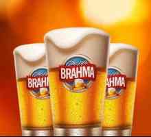 Beer `Bra`` - perla Braziliei