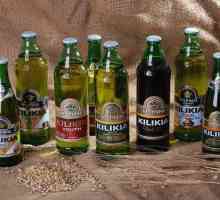 Beer `Cilicia`: caracteristici ale dezvoltării unui brand nou