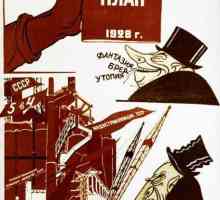 Cinci ani în URSS: masa, anii, marile șantiere de construcții. Industrializarea socialistă