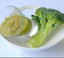 Puree din broccoli - un fel de mâncare delicioasă din bucătăria sănătoasă