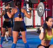Planificați antrenamentul în sala de sport pentru fete și bărbați pentru a pierde în greutate