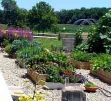 Amenajarea grădinii și a grădinii și a terenului