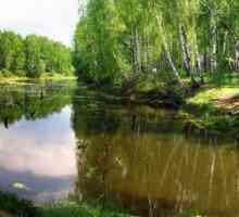 Platit pescuit: Yusupovo (raionul Domodedovo)