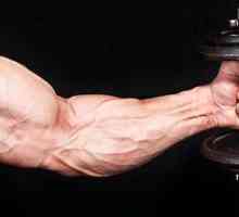 Bronchial muscle: training. Cum să pompezi?