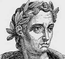 Pliny cel Tânăr: biografie și patrimoniu