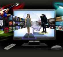 Pro și contra televizorului: satelit, digital, interactiv
