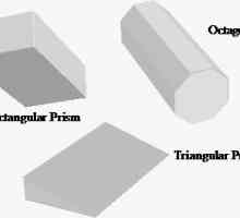 Zona de bază a prismei: de la triunghiulare la poligonală