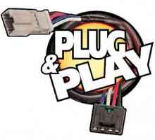 Plug and Play - ce este? sinopsis
