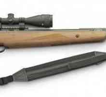 Pistol de pușcă pentru vânătoare - cum se face alegerea potrivită