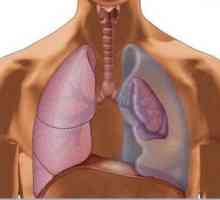 Pneumotoraxul pulmonar: cauze, simptome și prim ajutor