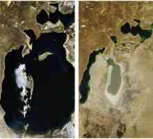 De ce Marea Aral se usuce: cauze