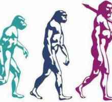 De ce se numește evoluția procesul istoric? Forța motrice a evoluției
