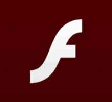 De ce "Flash Player" nu funcționează în Opera și în alte browsere: sfaturi de depanare