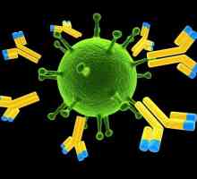 De ce unele boli o persoană nu se îmbolnăvește de două ori: dezvoltarea imunității, vaccinarea