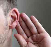 De ce urechile sunt mari: cauze, diagnostic și tratament. Persoanele cu cele mai mari urechi