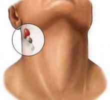 De ce au fost inflamate ganglionii limfatici în spatele urechilor?