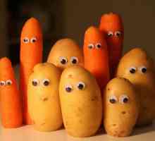 Artizanat din cartofi și morcovi pentru grădiniță sau școală. Artizanat din cartofi și morcovi