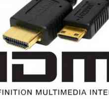 Conectați monitorul. DVI sau HDMI - ce este mai bine pentru un monitor?