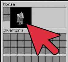 Detalii despre cum să antrenezi un cal în "Maynkraft"