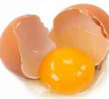 Detalii despre cantitatea de proteine ​​dintr-un singur ou