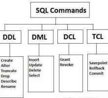 "Capcane" de comenzi DML Actualizați MySQL