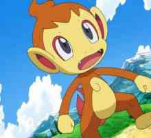 Pokemon Chimchar: toate informațiile despre animalele de companie