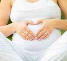 Gimnastica utila pentru femei gravide (1 termen). Ce gimnastică puteți face însărcinată?