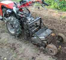 O achiziție utilă pentru o grădină - o mașină de recoltat cartofi pentru un motoblock