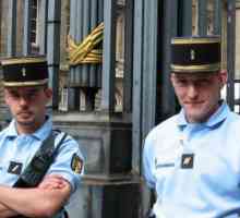 Poliția franceză: trăsături și soiuri