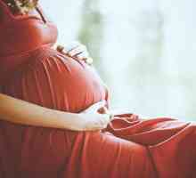 Polyp în timpul sarcinii: cauze, simptome, tratament, consecințe