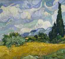 Domenii, spații de grâu în lucrările lui Van Gogh. Pictura "Câmpul de grâu cu Cypress"