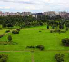 Parcul Polustrovsky este cea mai verde zonă de recreere din cartierul Krasnogvardeisky din Sankt…