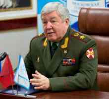 Nikolai Rogozhkin, Reprezentant al Președintelui Federației Ruse în districtul federal siberian:…