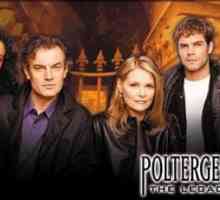 `Poltergeist: Legacy`: actori și complot