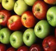 Utilizarea merelor pentru sănătate. Beneficiile merelor proaspete și proaspete pentru organism